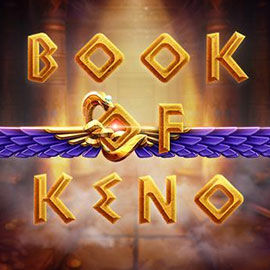 Book Of Keno!?!? Organic Gambler - Book of Keno - Pulsz Casino