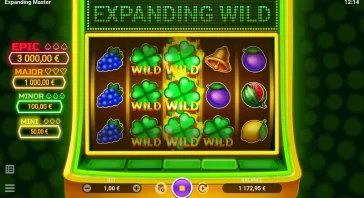 WILD SYMBOLS