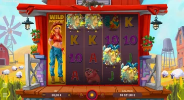 CRAZY FARM FEATURE