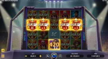WILD WITH MULTIPLIERS