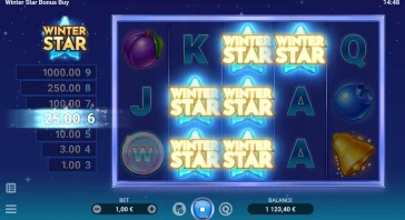 WINTER STAR SYMBOL