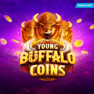 Young Buffalo Coins
