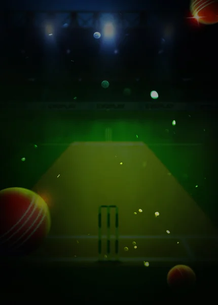 Poster for: Cricket Duel