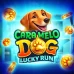 Caramelo Dog: Lucky Run