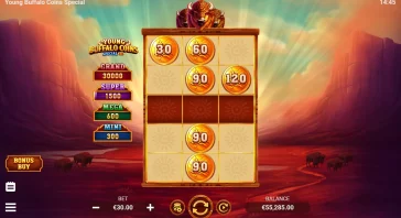 BONUS AND JACKPOT BONUS SYMBOLS