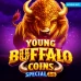 Young Buffalo Coins Special
