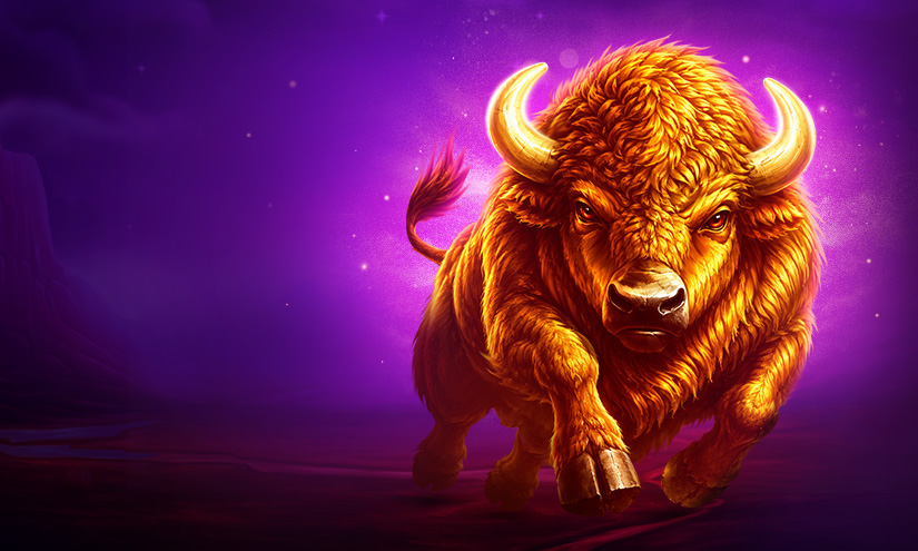 Poster for: Young Buffalo Coins Special